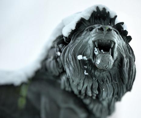 Cold Lion (via <a href="http://farm5.static.flickr.com/4042/4259454833_8a19cbd8af.jpg">nick@</a>)